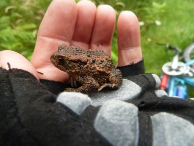 Photo 13-08-2012 12 03 55