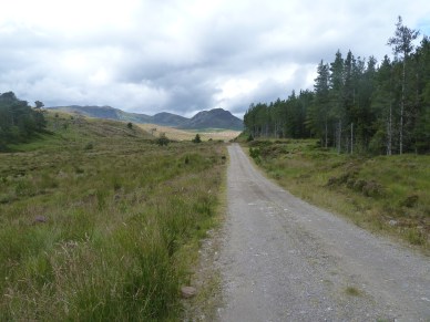 Photo 14-08-2012 12 11 16