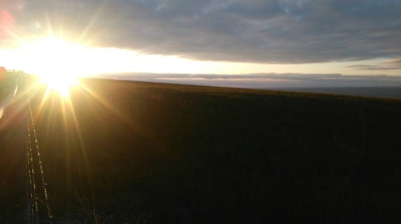 original_url: DSC_0067_5.JPG/1465616795000